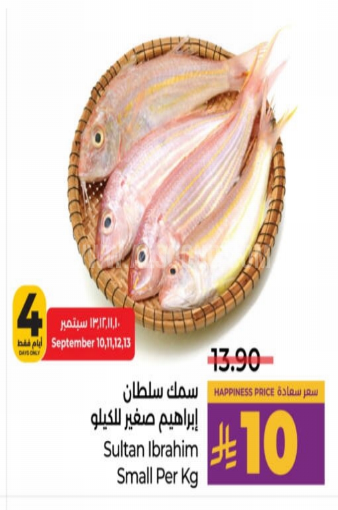 عروض الأسماك 
