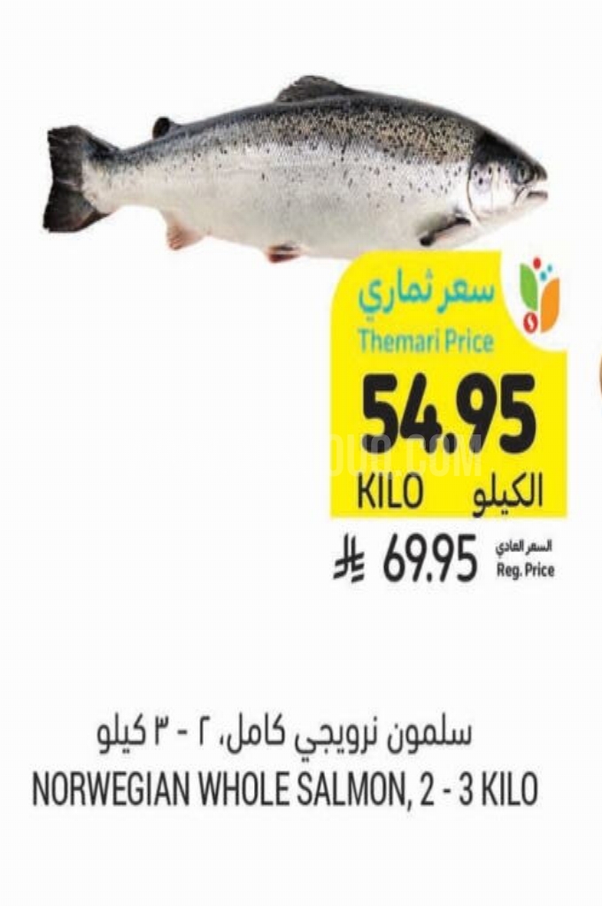 عروض الأسماك عروض الأسماك