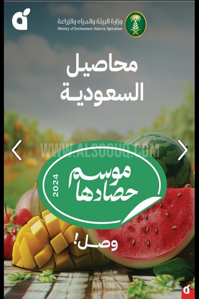 عروض بنده الأسبوعية 21 مايو 2025 الموافق 23 ذو القعدة 1446 أضحى مبارك 9 6ce1f82338a6885e73c2