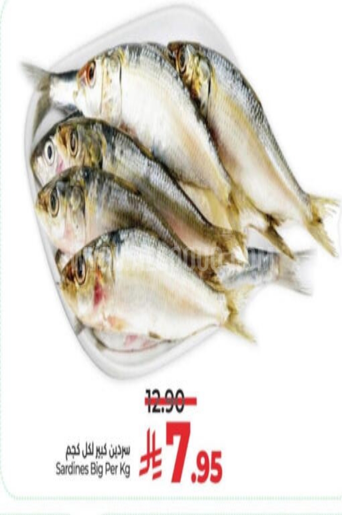 عروض الأسماك