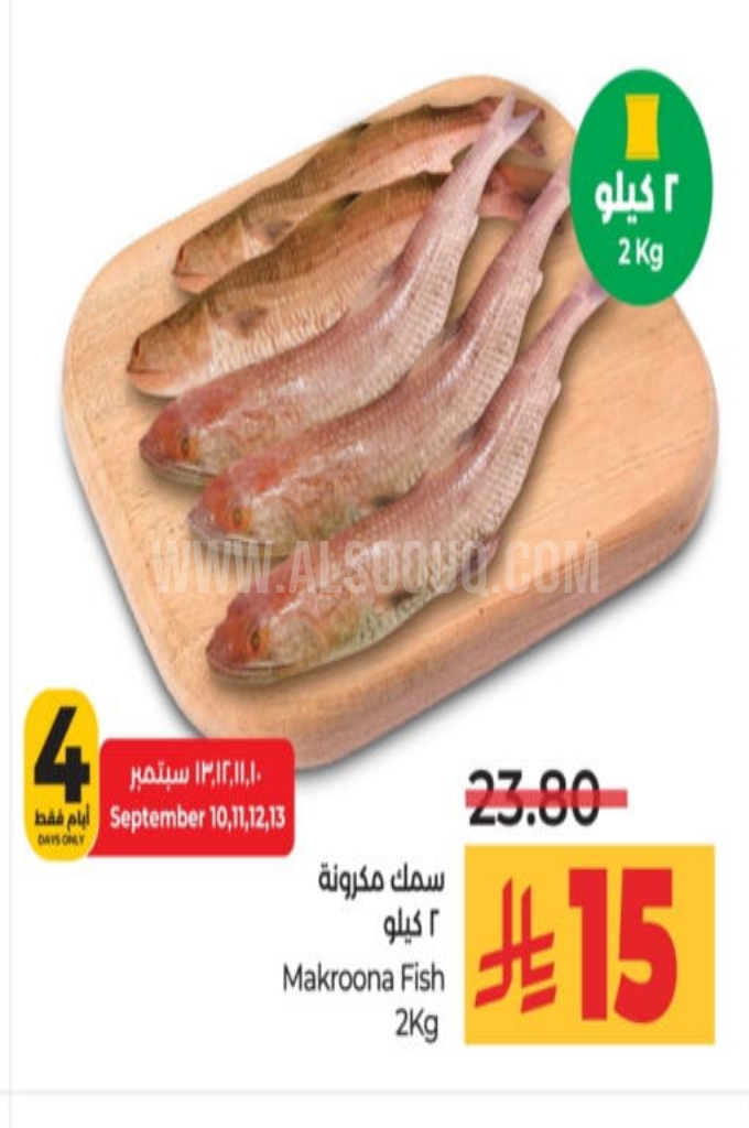 عروض الأسماك 