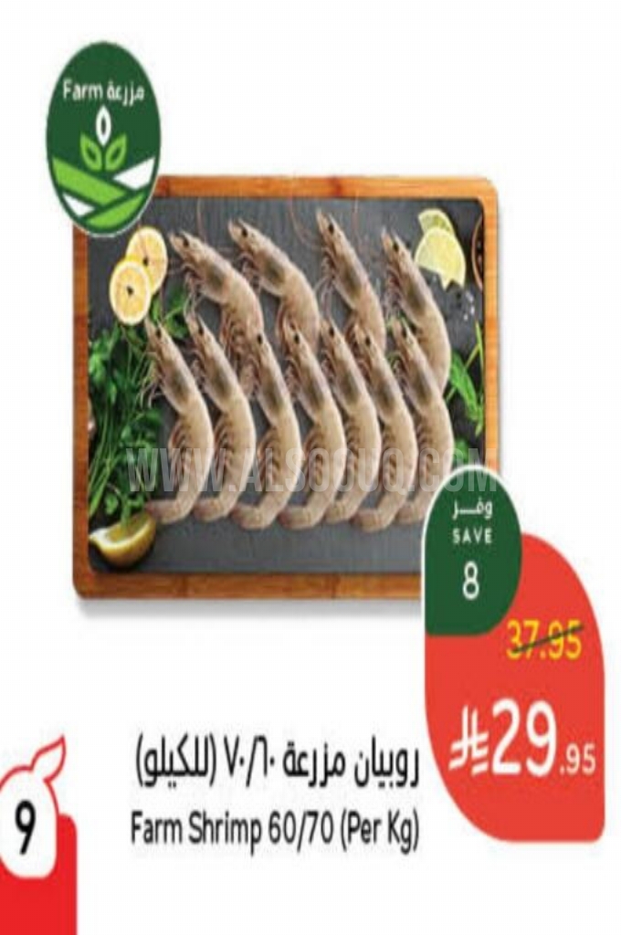 عروض الأسماك عروض الأسماك