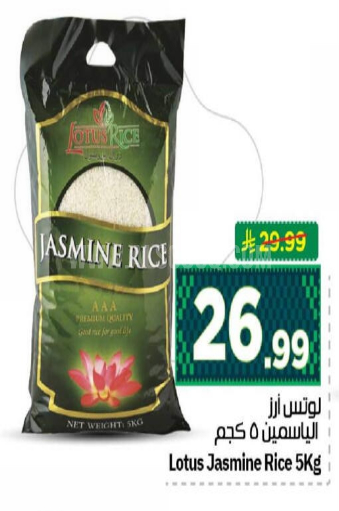 عروض الأرز 