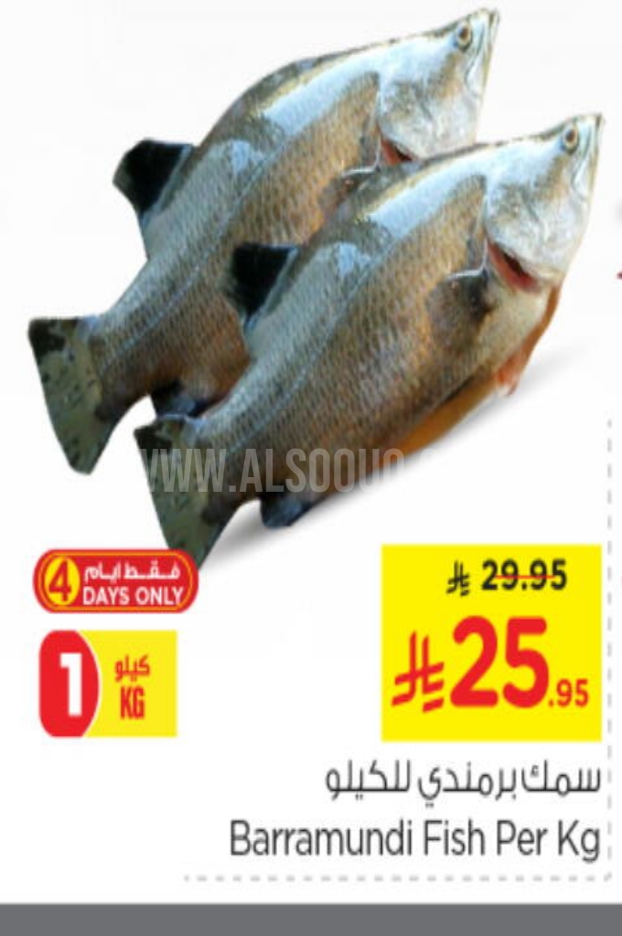 عروض الأسماك