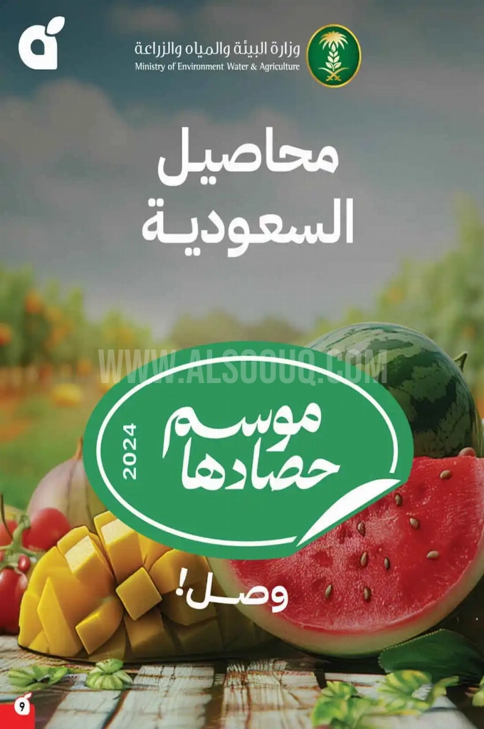 عروض هايبر بنده الأسبوعية 28 مايو 2025 الموافق 1 ذو الحجة 1446 أضحى مبارك 9 766c1fcc3e6b89ab04ff