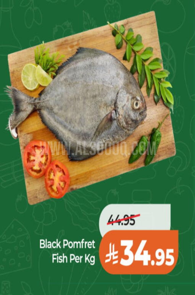 عروض الأسماك