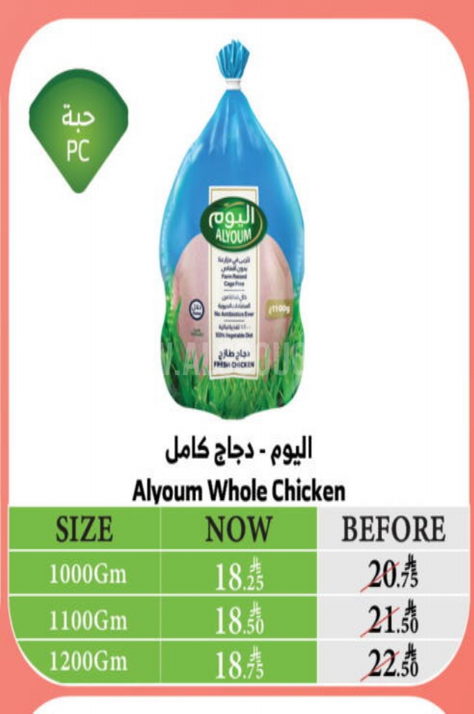 عروض الدجاج عروض الدجاج