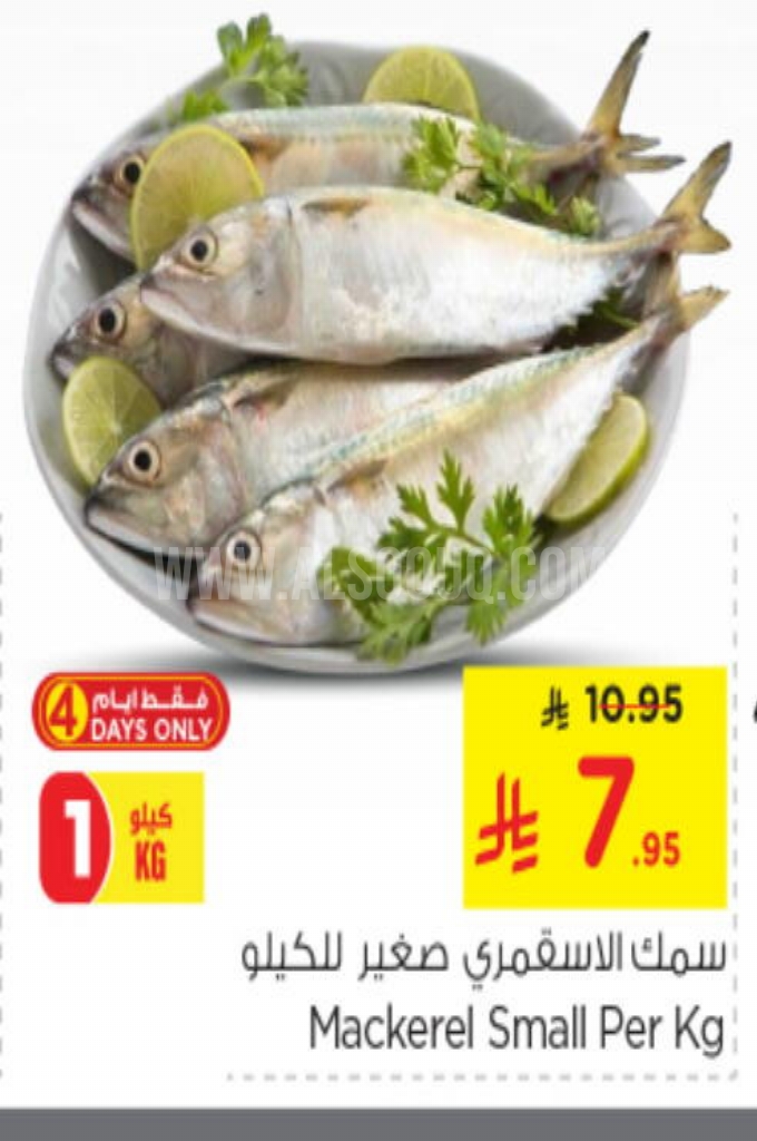 عروض الأسماك