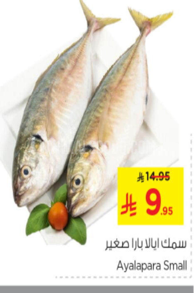 عروض الأسماك 