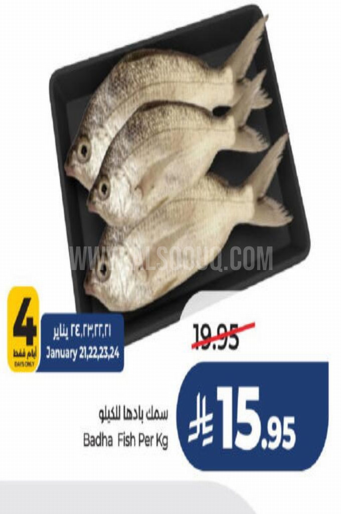 عروض الأسماك