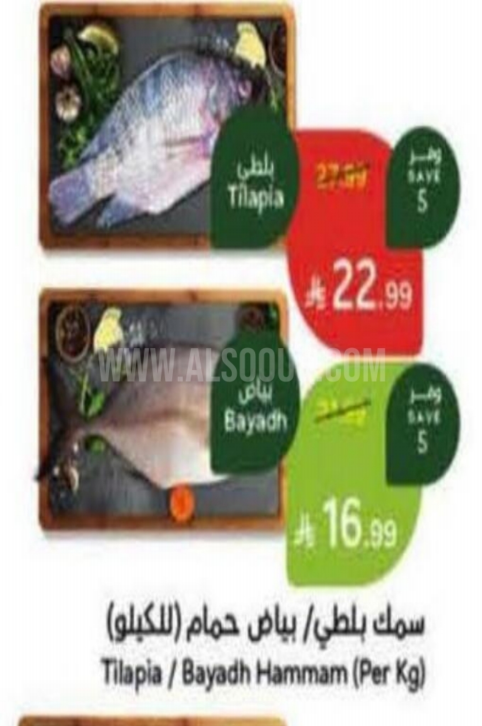 عروض الأسماك