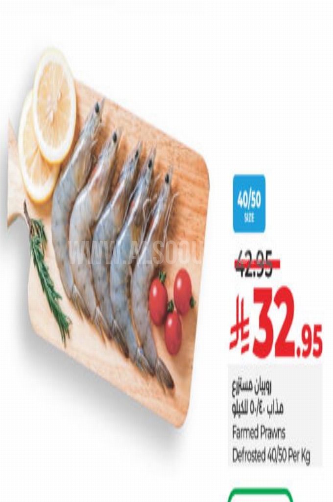 عروض الأسماك عروض الأسماك