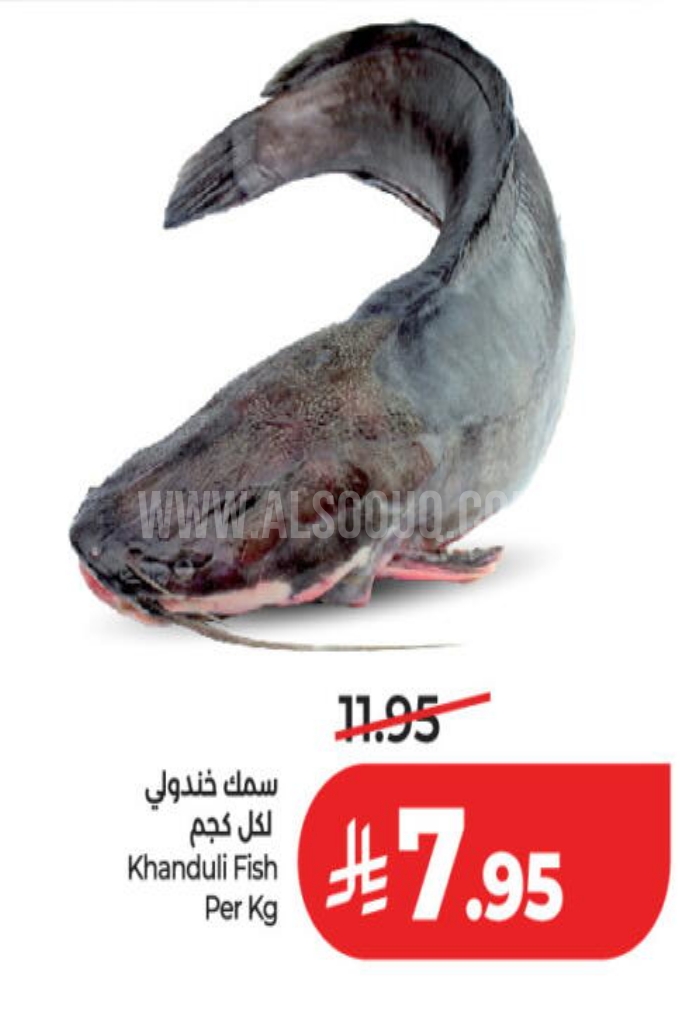 عروض الأسماك