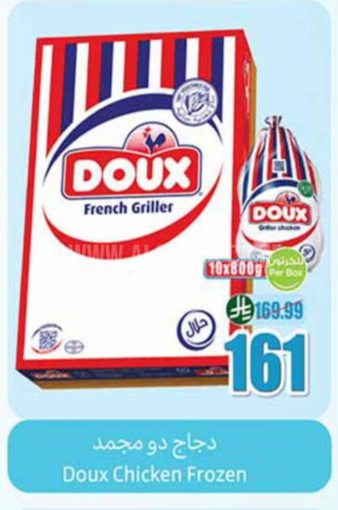 عروض الدجاج 