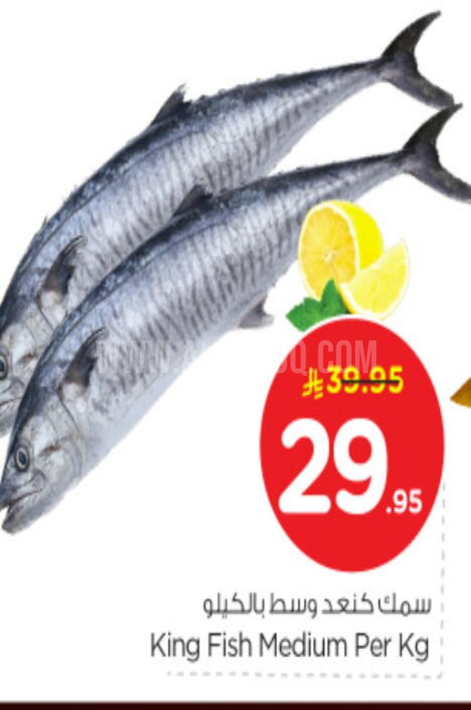 عروض الأسماك