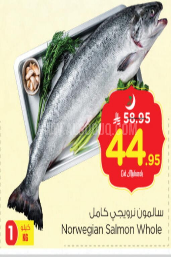 عروض الأسماك