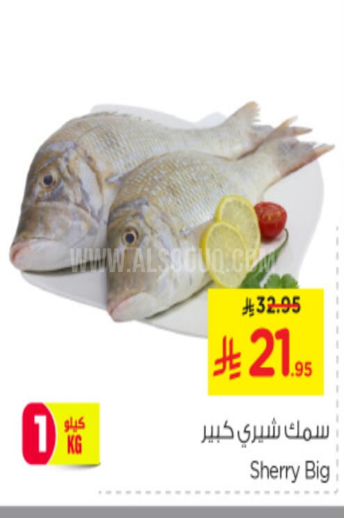 عروض الأسماك 