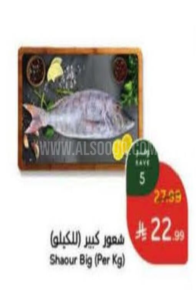 عروض الأسماك