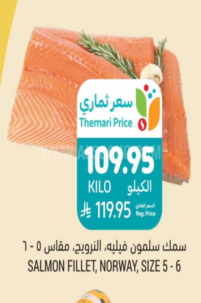 عروض الأسماك
