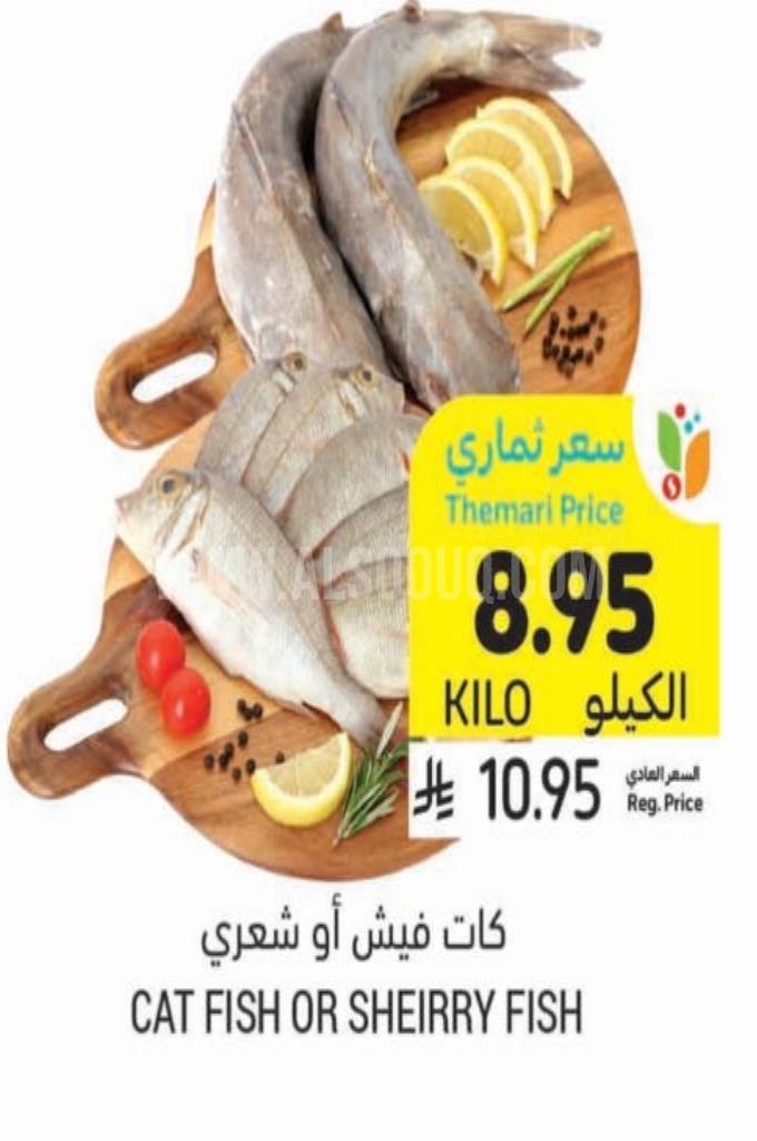 عروض الأسماك 