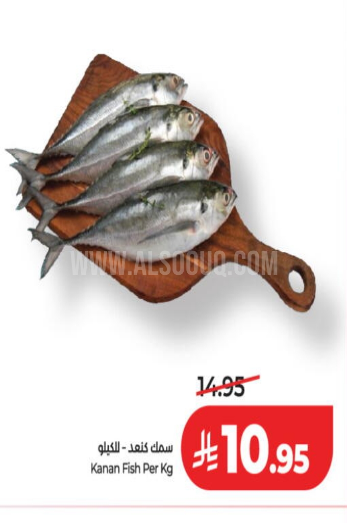 عروض الأسماك