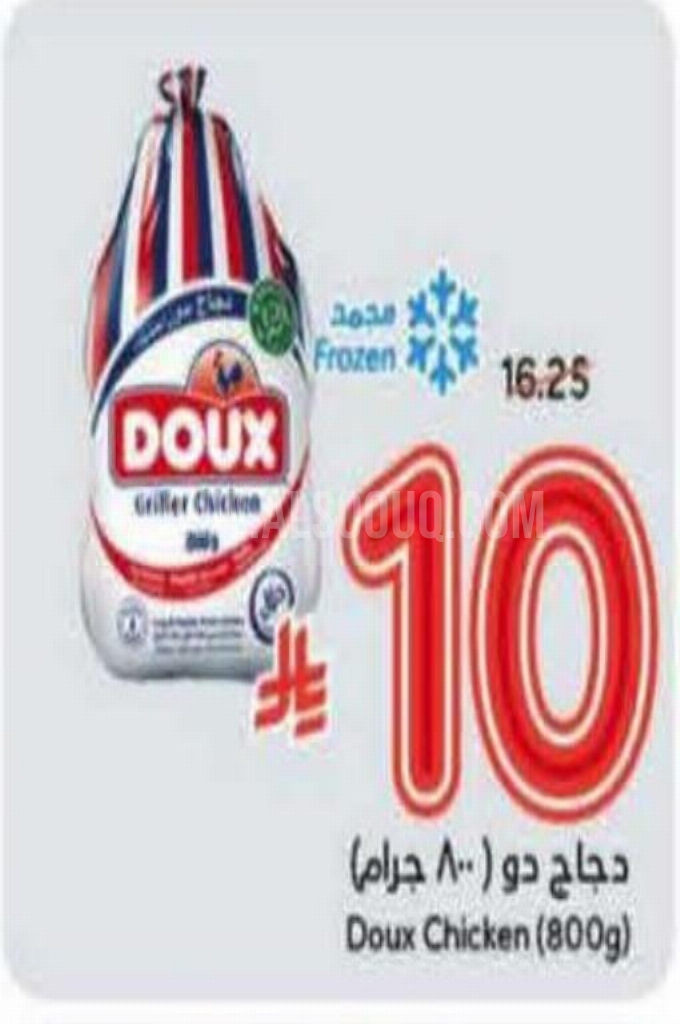 عروض الدجاج