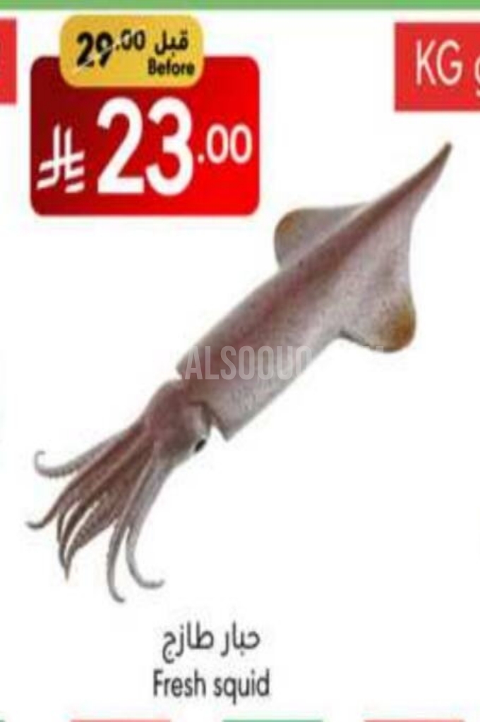 عروض الأسماك