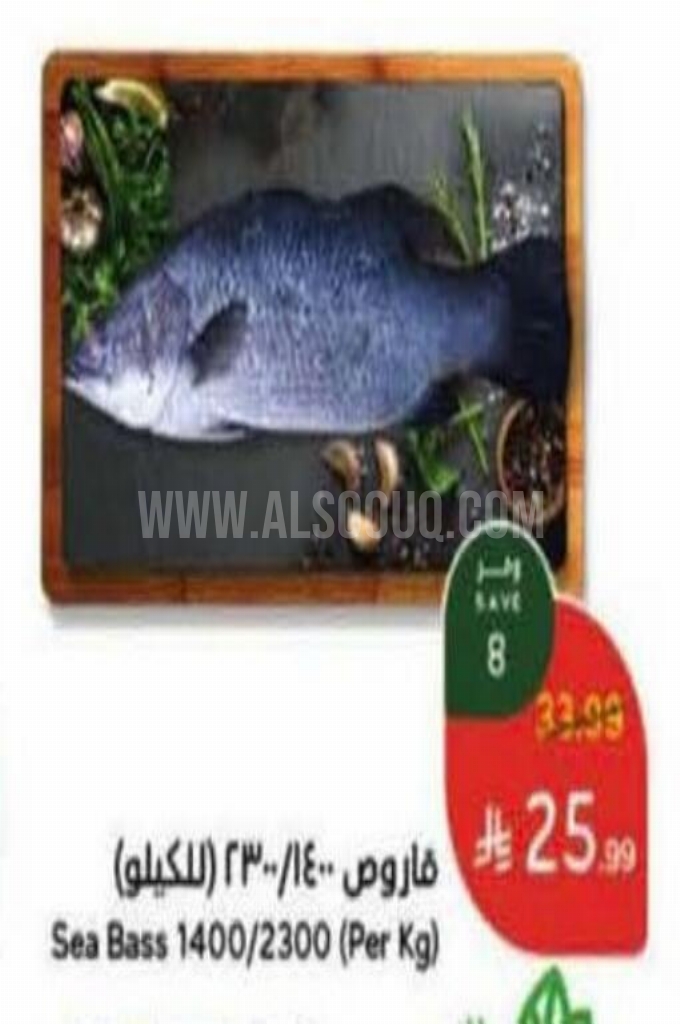 عروض الأسماك