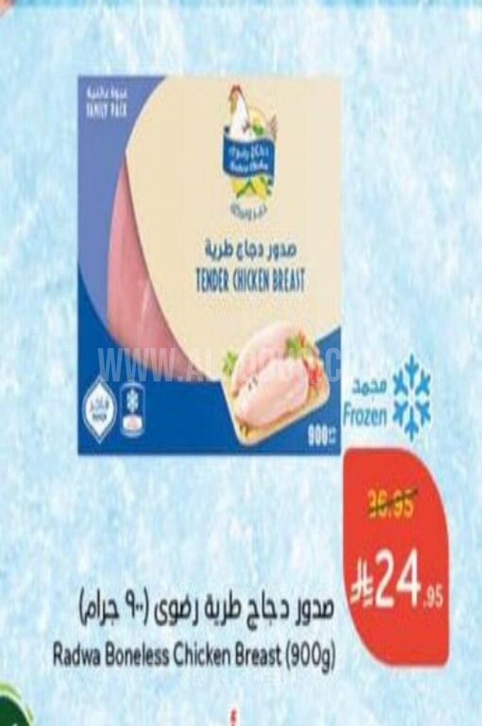 عروض الدجاج