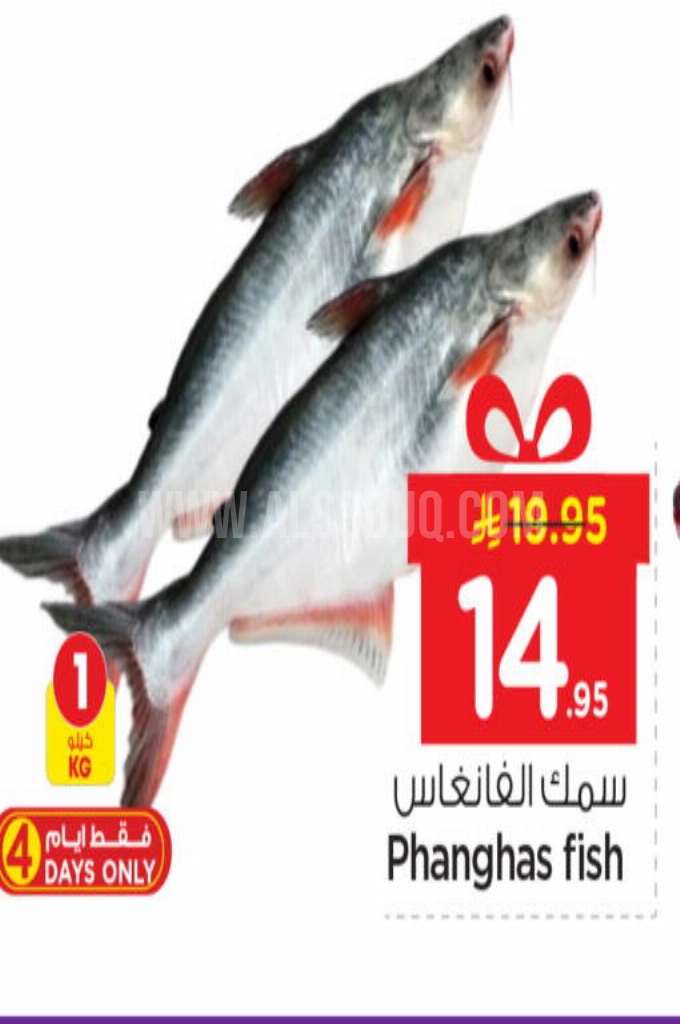 عروض الأسماك