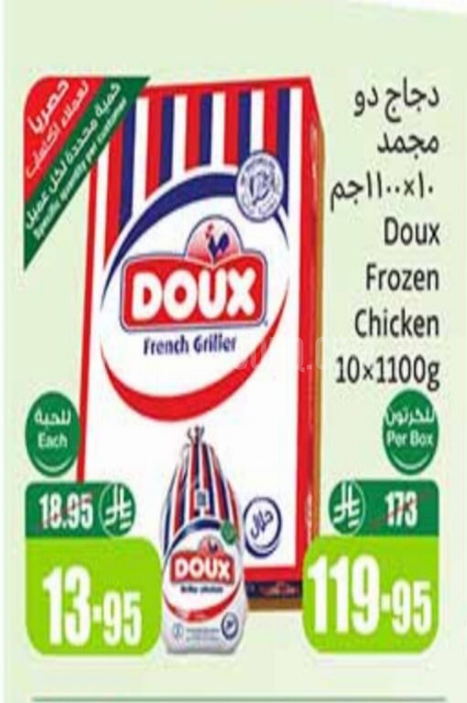 عروض الدجاج