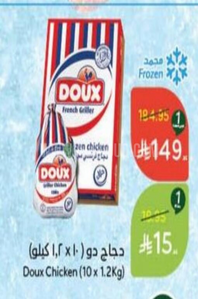 عروض الدجاج