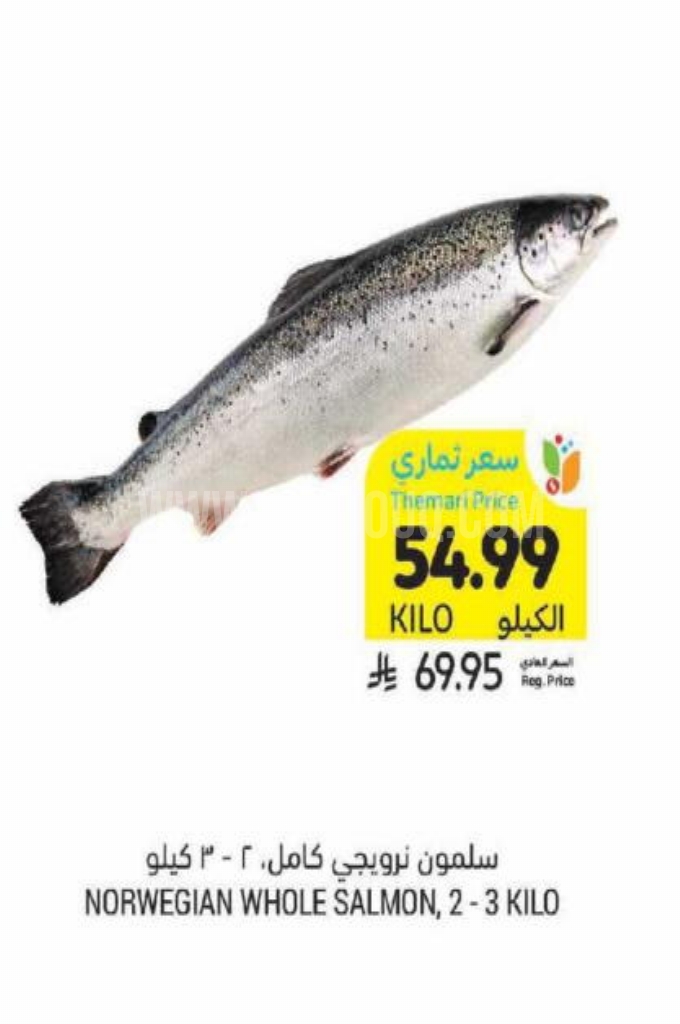 عروض الأسماك