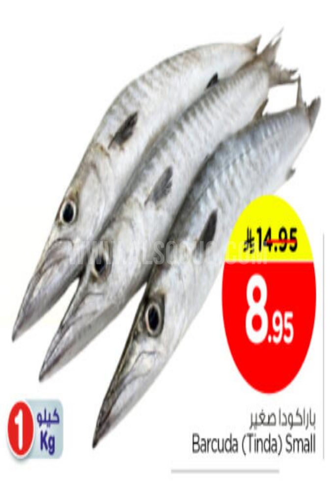 عروض الأسماك