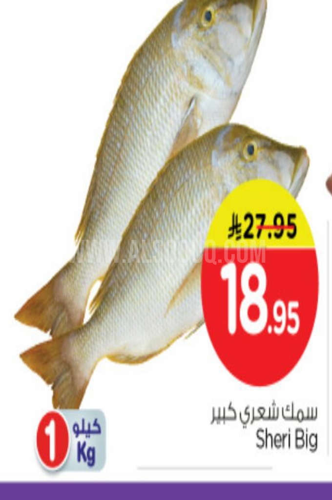 عروض الأسماك