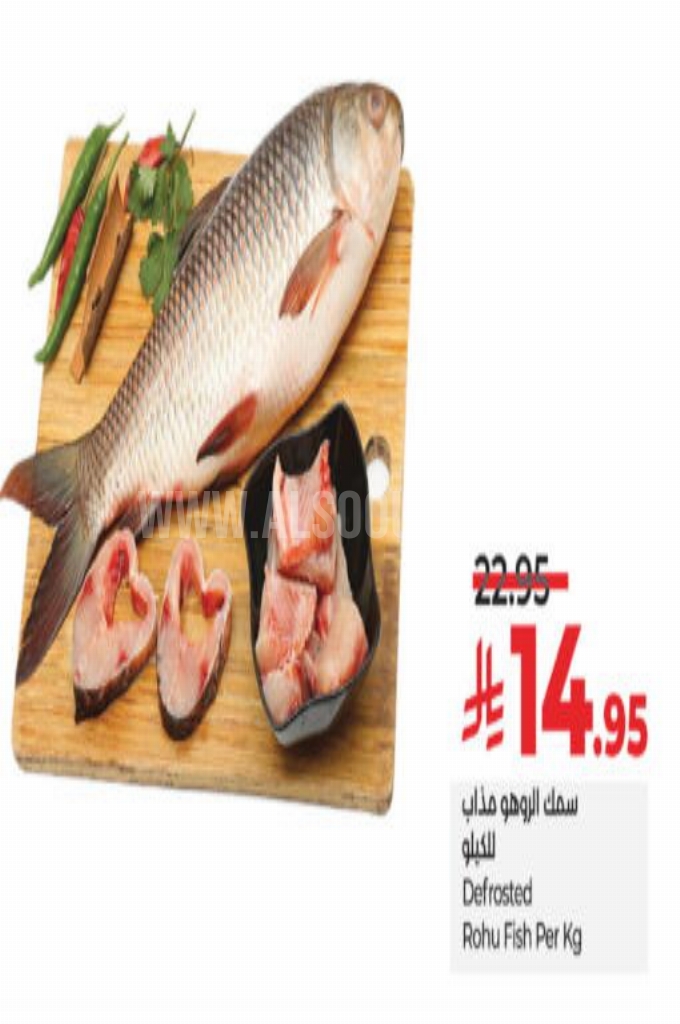 عروض الأسماك عروض الأسماك