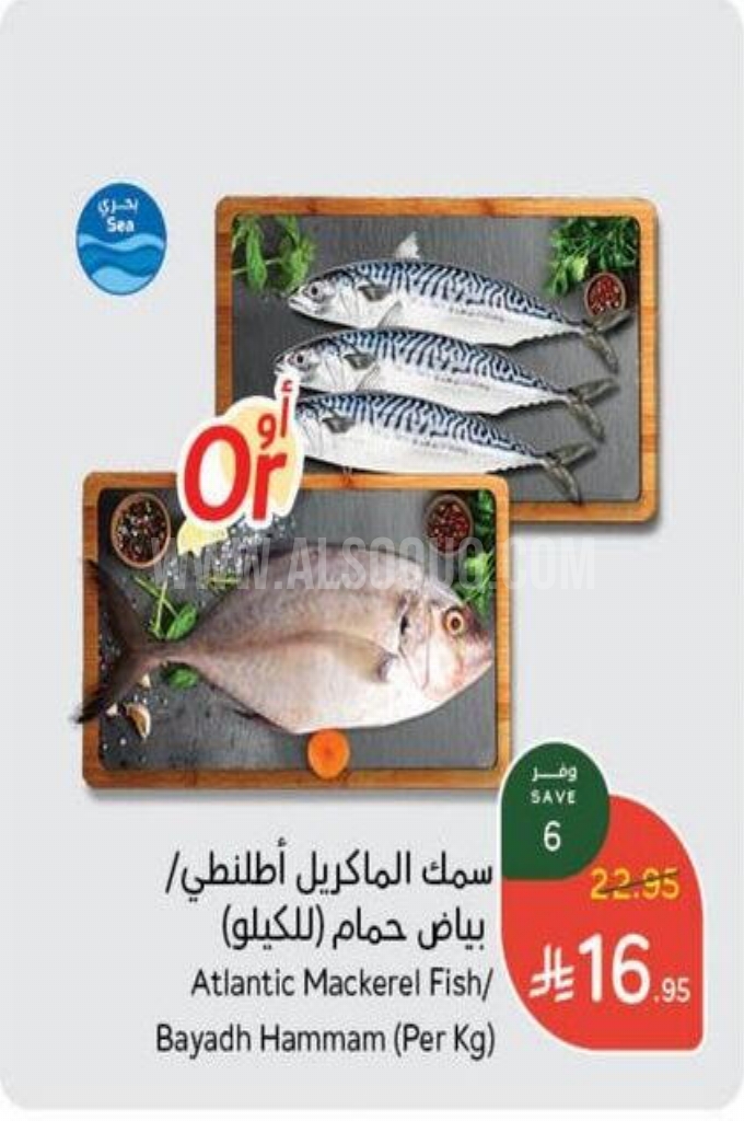 عروض الأسماك