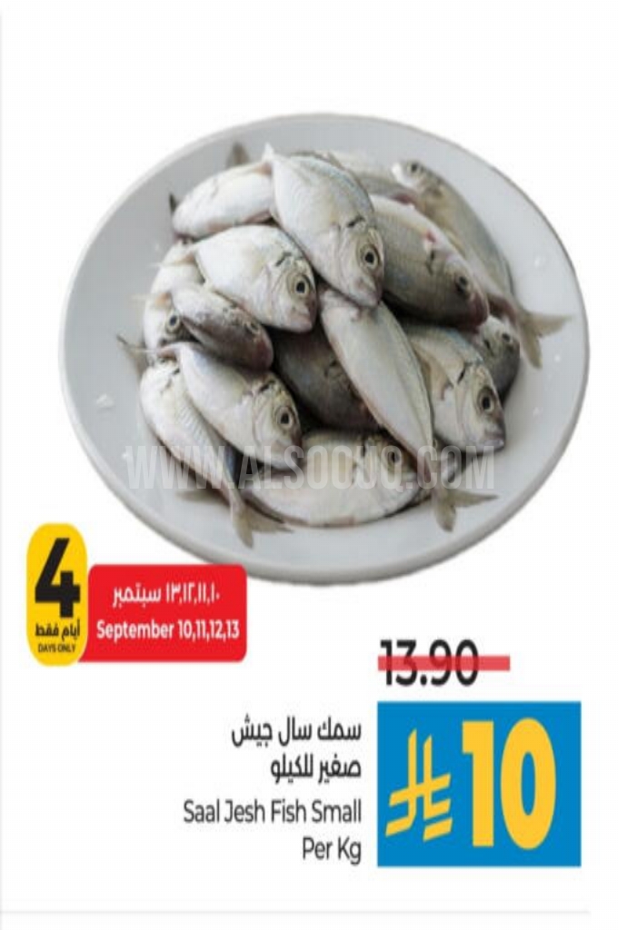 عروض الأسماك 