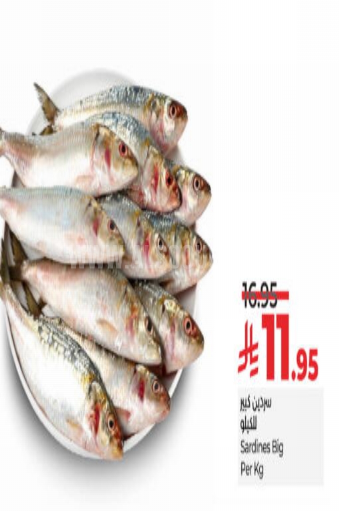 عروض الأسماك عروض الأسماك
