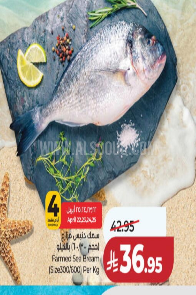 عروض الأسماك