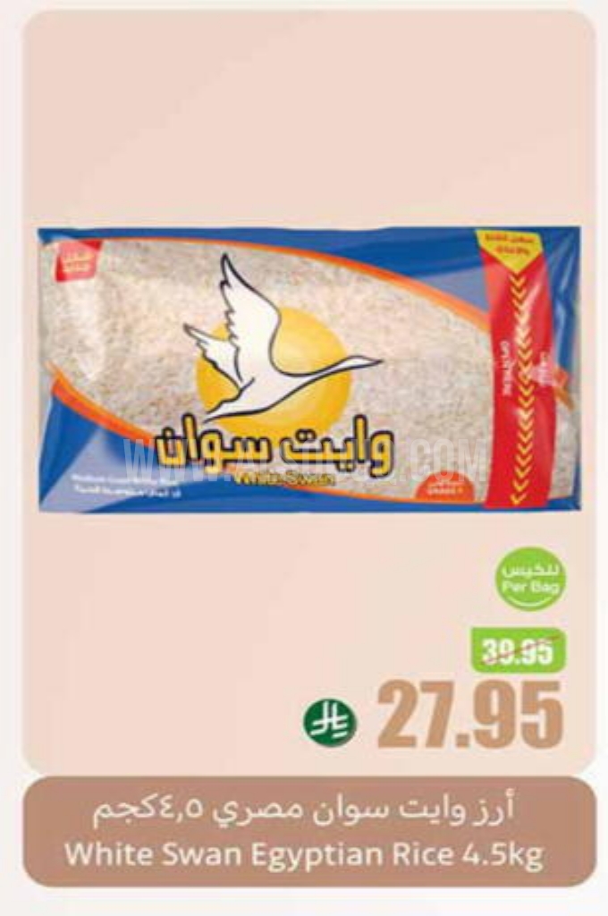 عروض الأرز