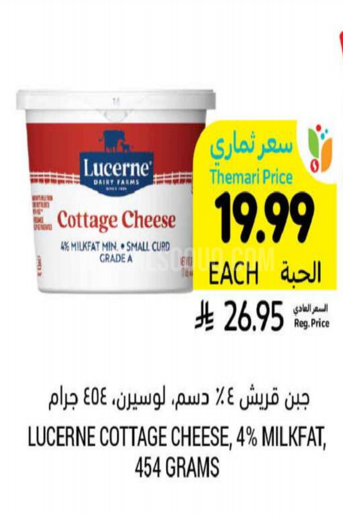 عروض الأجبان والألبان