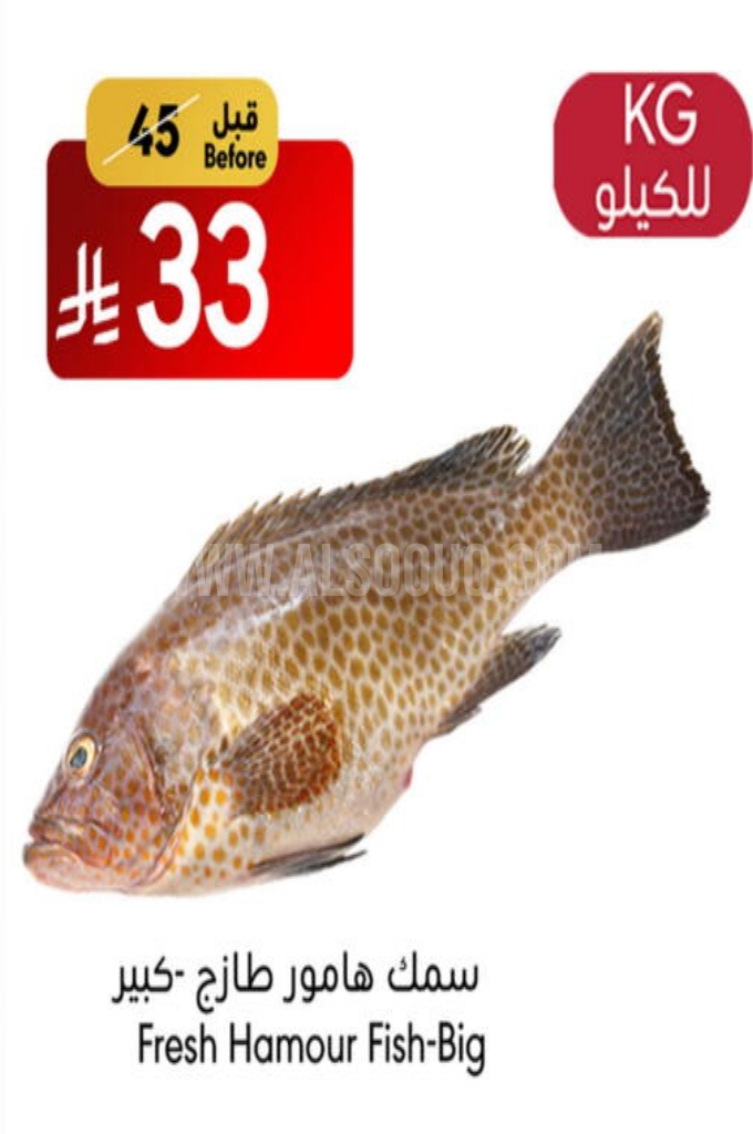 عروض الأسماك