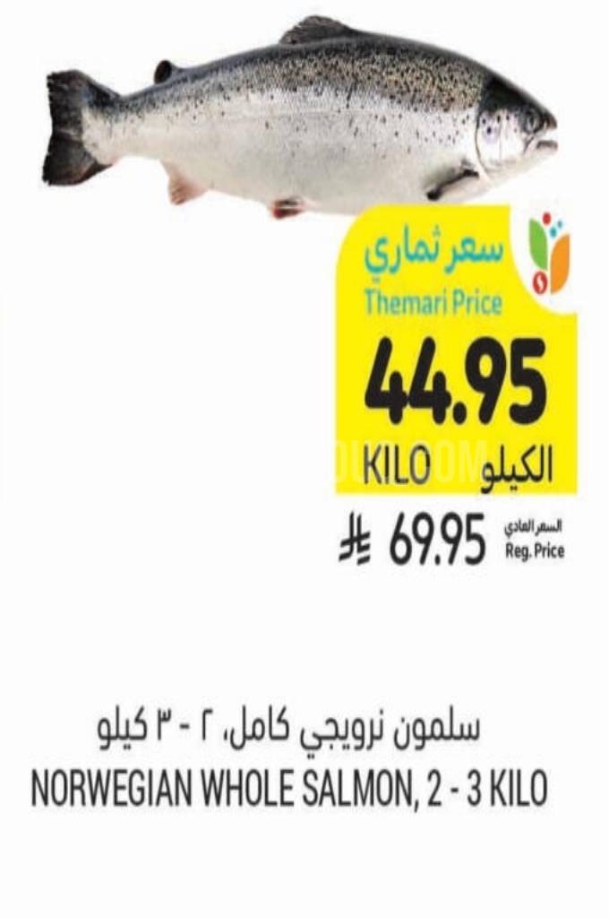 عروض الأسماك
