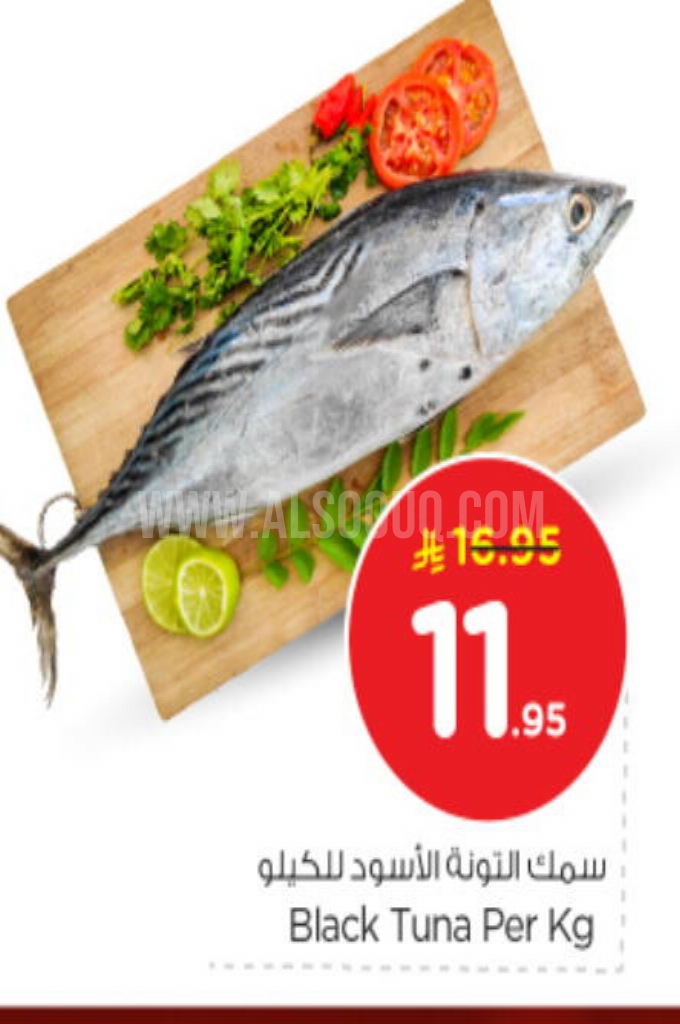 عروض الأسماك