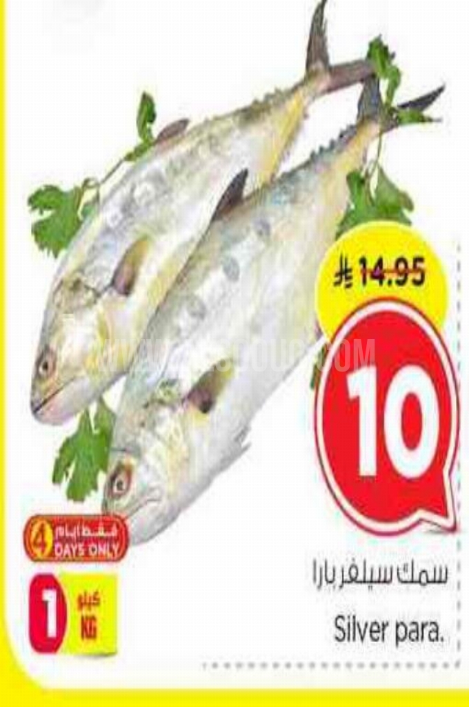 عروض الأسماك 