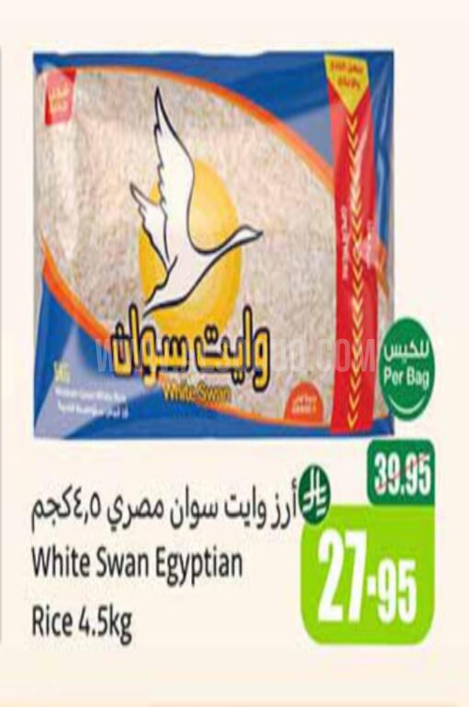 عروض الأرز عروض الأرز