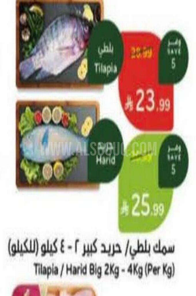 عروض الأسماك