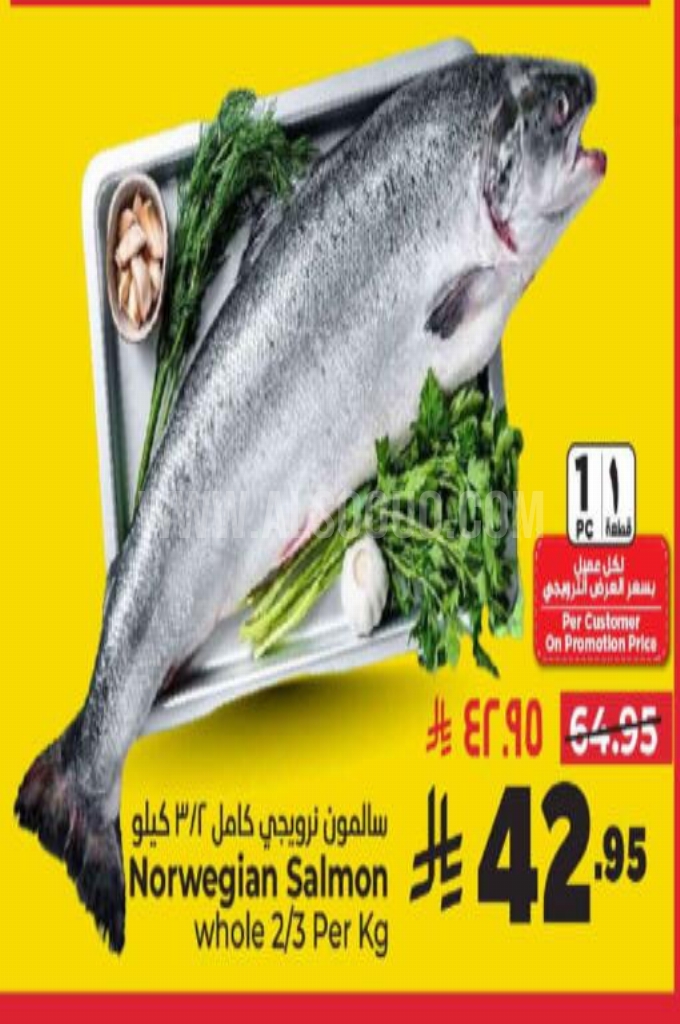 عروض الأسماك