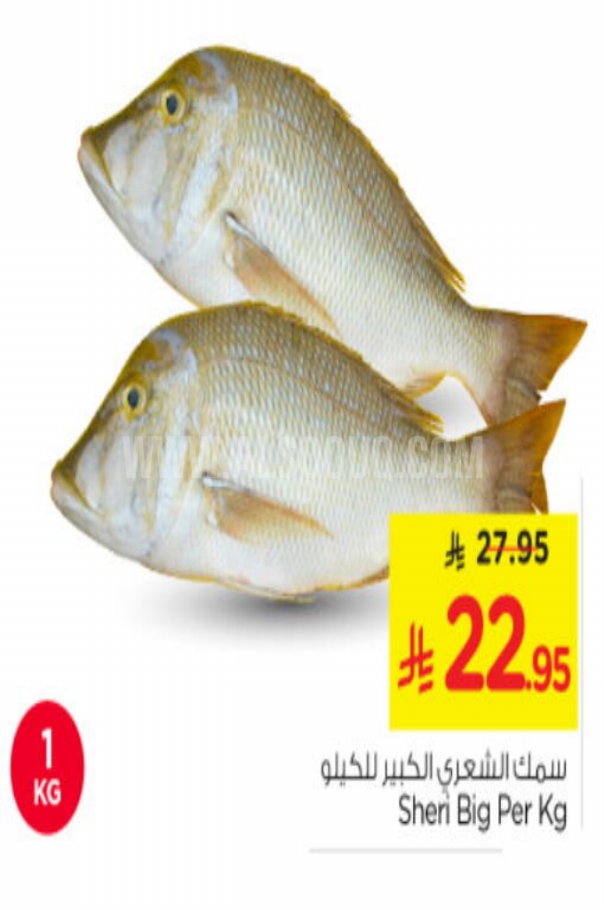 عروض الأسماك